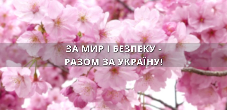 Новости 4к